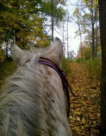 Horse Back Riding on a Trail at Big Creek Stables